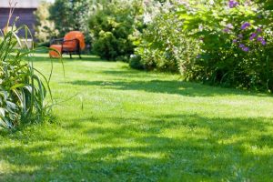 travaux jardin et paysage Ardelu